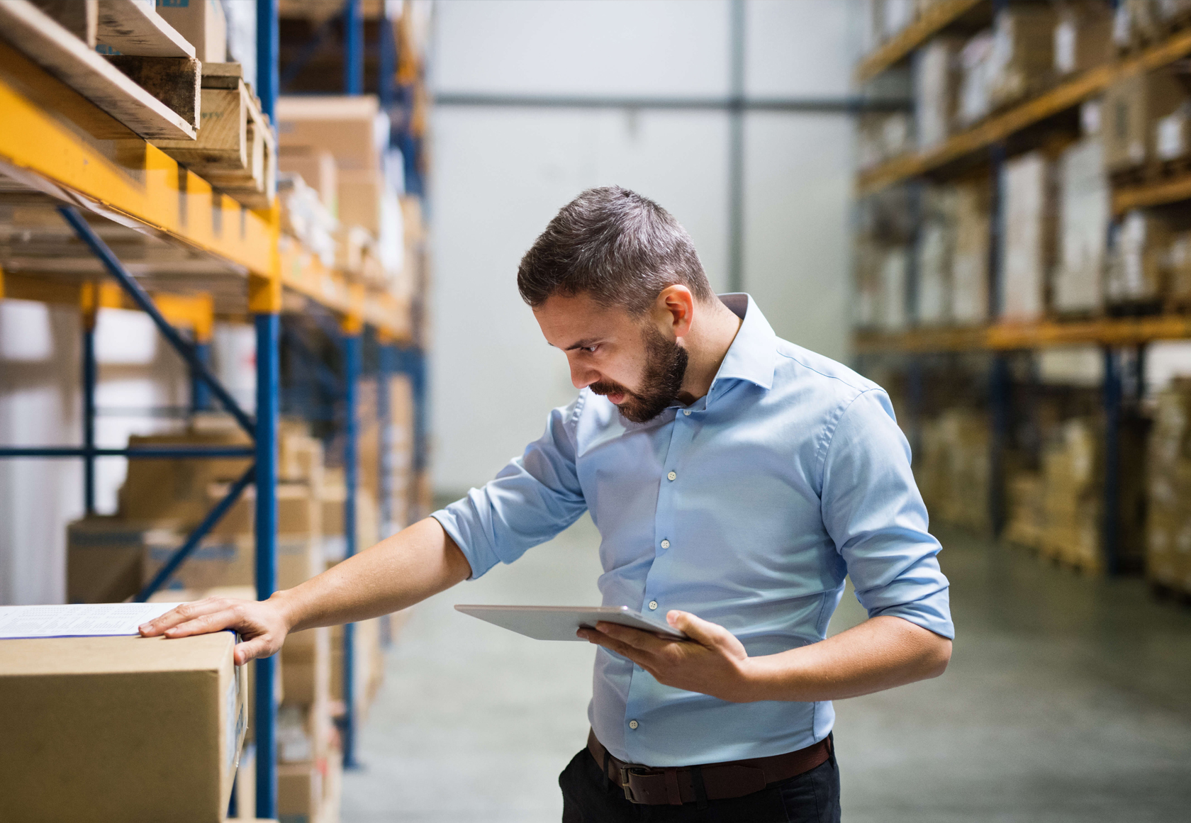 Supplier search and verification